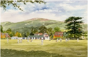 Cricket Match 2003